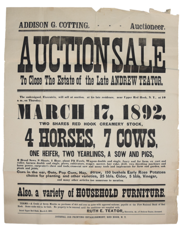 TeatorAuctionPoster.width-800
